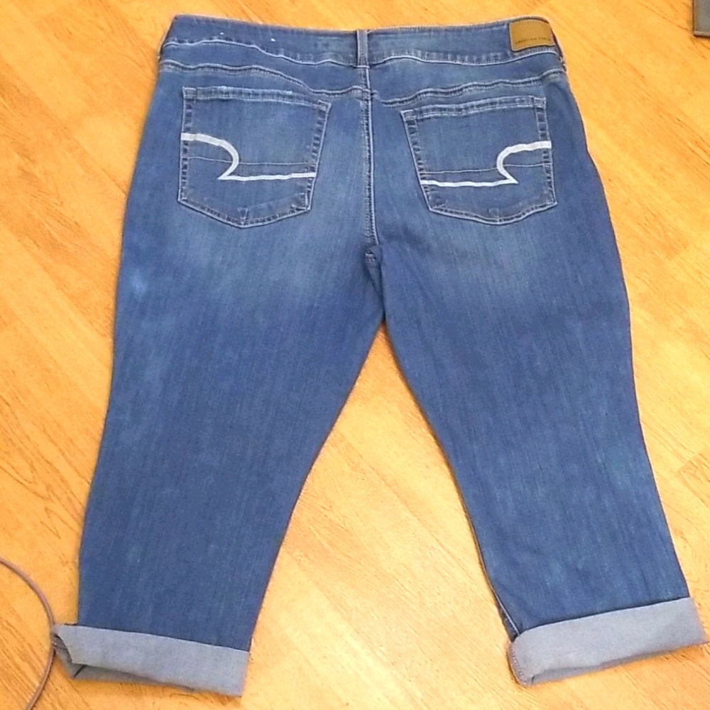 American Eagle Women's Artist Crop size 18 Short